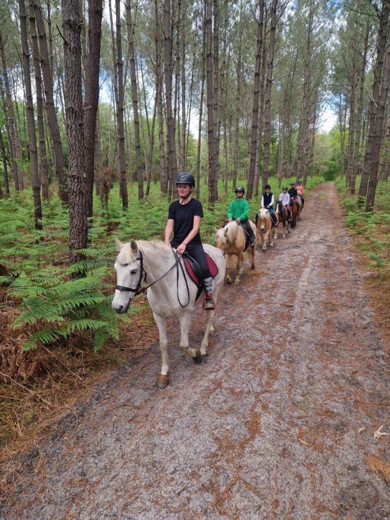 Les randos lunaires à cheval