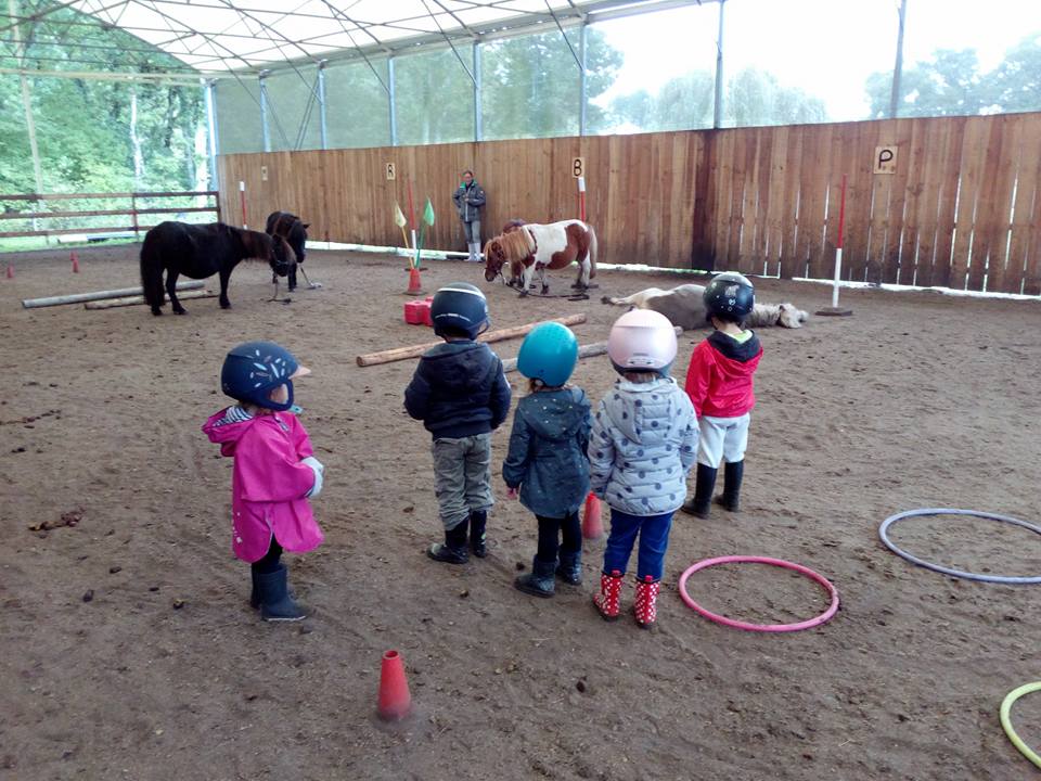 Le Ranch Lamberts : Eveil baby poney Atelier 18 mois- 3ans Médoc