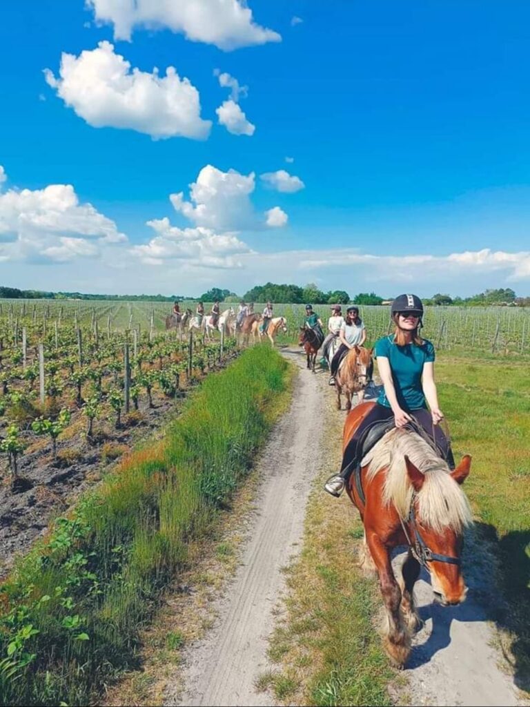 Le Ranch Lamberts : vino rando vin équitation médoc